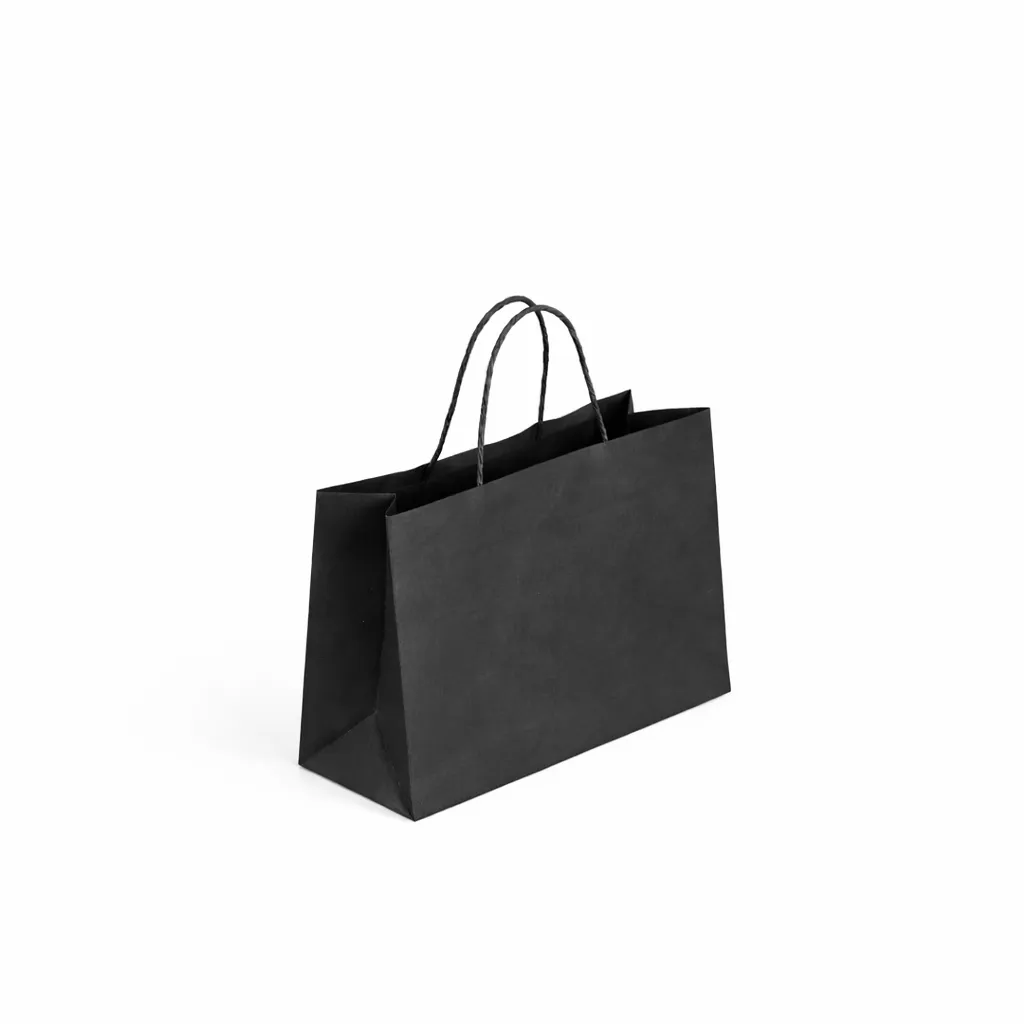 Kraft Paper Bag Extra Small – 250 W x 180 H x 100 mm Gusset B8026.BK